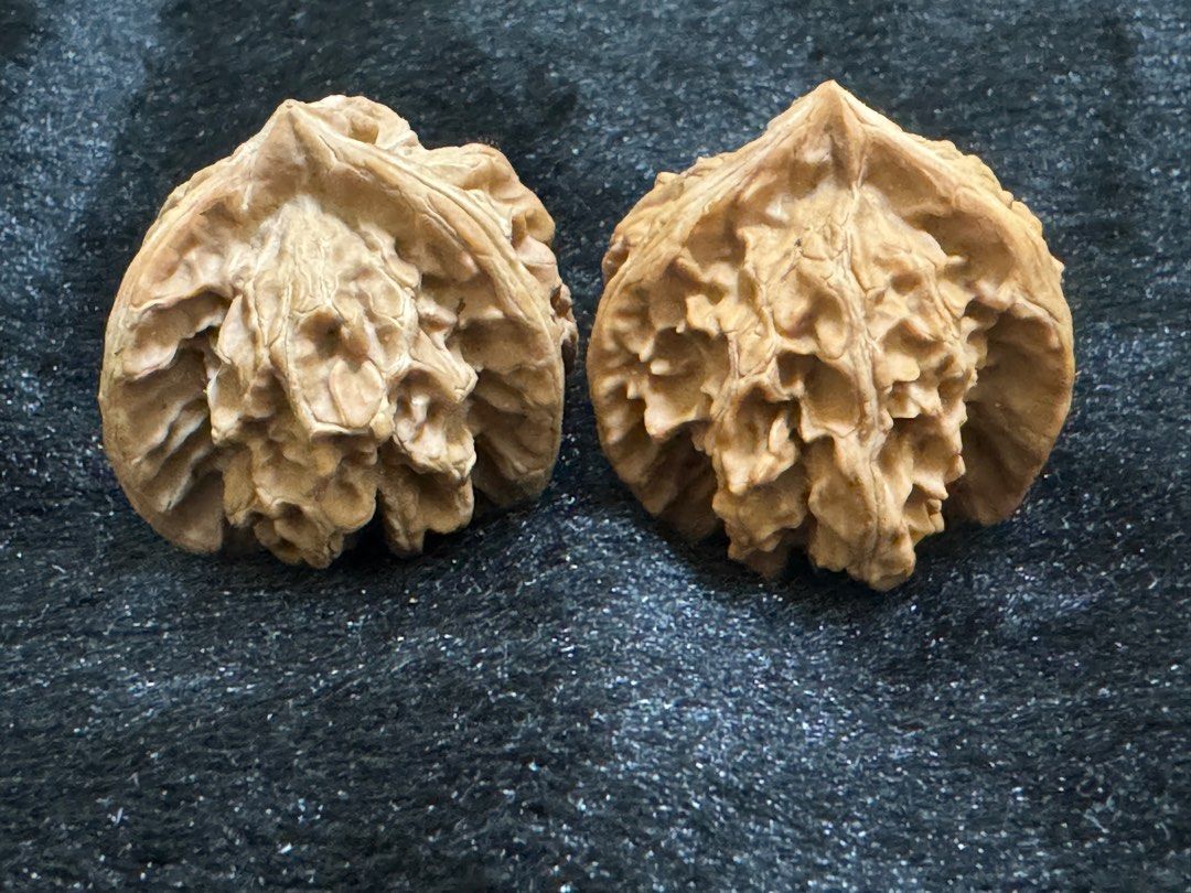 文玩堂：高桩盤山三稜胡桃（正奔38mm） 文玩核桃-盘山三棱, 興趣及遊戲, 收藏品及紀念品, 古董收藏- Carousell