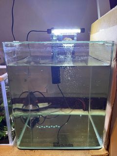 (Category: ) located in . Submitted by craime (Listing ID 1305729947, Image 1). Description: .