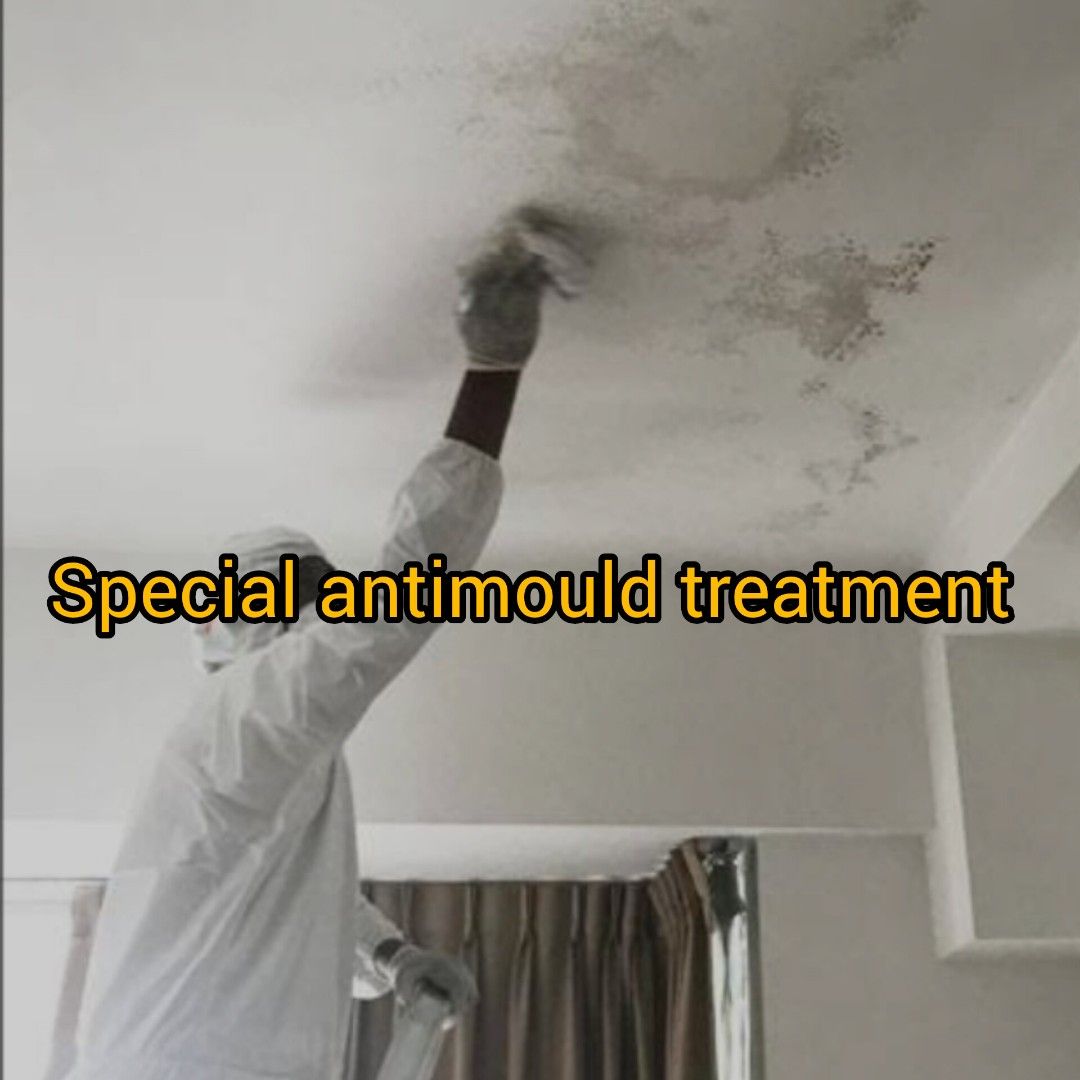 Ceiling antimould treatment/ holes fixing/ putty plaster/ cement