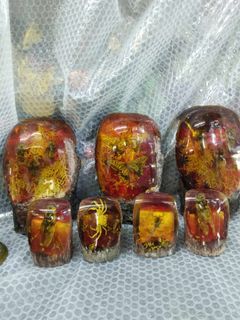 DM - Amber Resin Insects