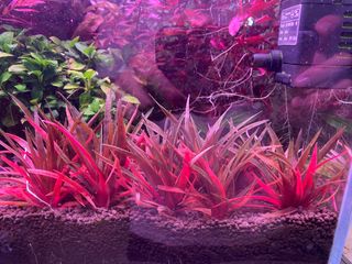 (Category: ) located in . Submitted by me5567 (Listing ID 1304995601, Image 1). Description: .