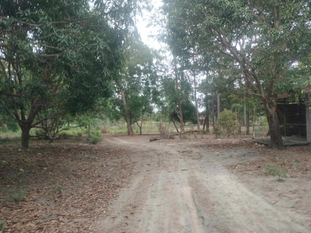Farm lot for sale in San Felipe, Zambales., Property, For Sale, Lot on