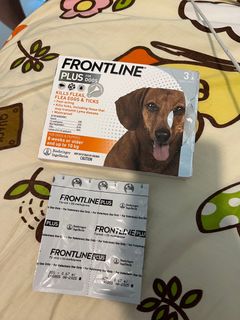 （分類：）位於 。 由 rcmoney 提交（商品編號 1308468266，圖片 1）。簡介： 。
