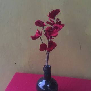 Red Orchid Flowers