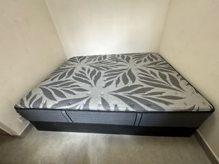 （分類：）位於 。 由 chen.irene 提交（商品編號 1305276201，圖片 1）。簡介： 。