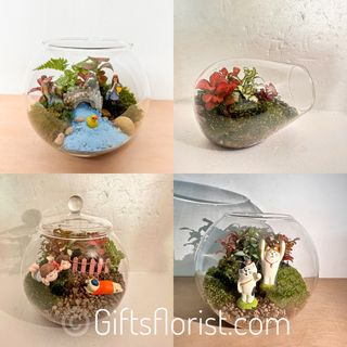 (Category: ) located in . Submitted by sgflorist (Listing ID 1308433121, Image 1). Description: .