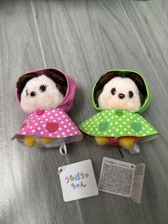 （分類：）位於 。 由 yy_1126 提交（商品編號 1308606729，圖片 1）。簡介： 。