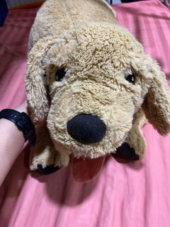 (Category: ) located in . Submitted by ahemspreloved (Listing ID 1308651273, Image 1). Description: .