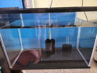 (Category: ) located in . Submitted by fc462 (Listing ID 1308547614, Image 1). Description: .