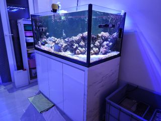 (Category: ) located in . Submitted by typrobin (Listing ID 1308497911, Image 1). Description: .