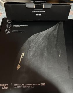 Secretlab Signature Memory Foam Lumbar Pillow, Furniture & Home Living ...