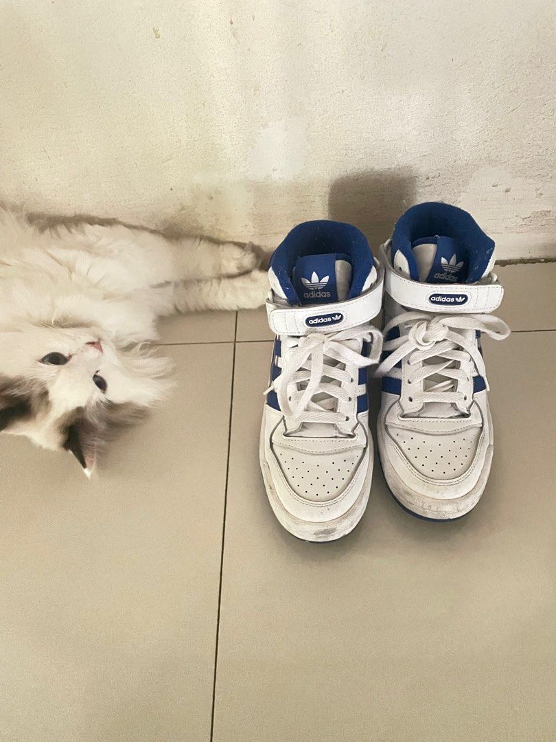 Adidas forum kendall cheap