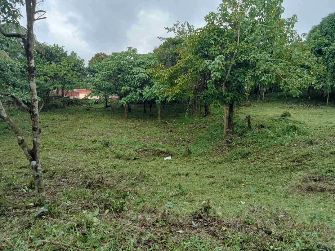 Tagaytay City lot ideal for restaurant and airbnb/rentals 2,529sqm P10