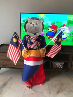 (Category: ) located in . Submitted by ninnaothman (Listing ID 1308777730, Image 1). Description: .