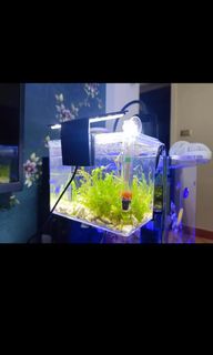 (Category: ) located in . Submitted by hiansome (Listing ID 1308749963, Image 1). Description: .
