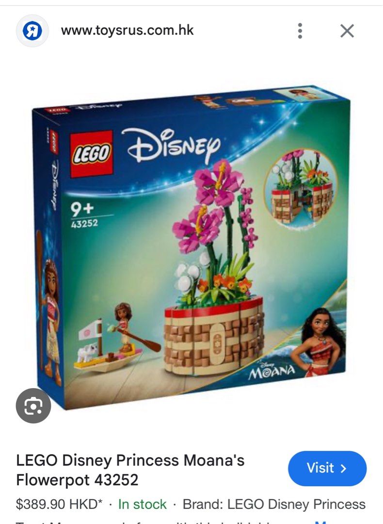 Lego Disney Princess Moana Flower Pot 43252 Carousell