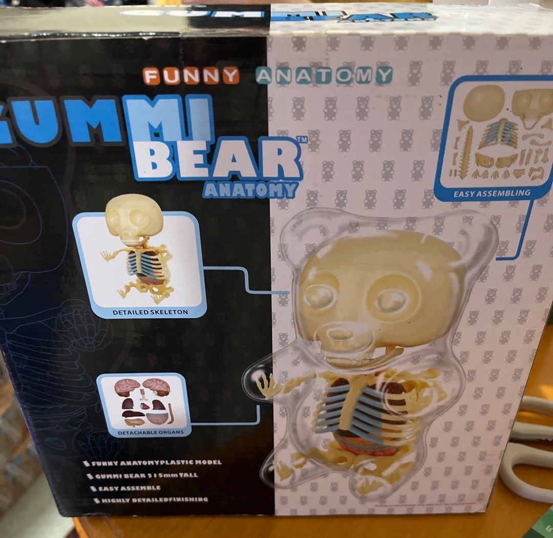 funny anatomy GUMMI BEAR 解剖半骨軟糖熊, 興趣及遊戲, 玩具 & 遊戲類 - Carousell