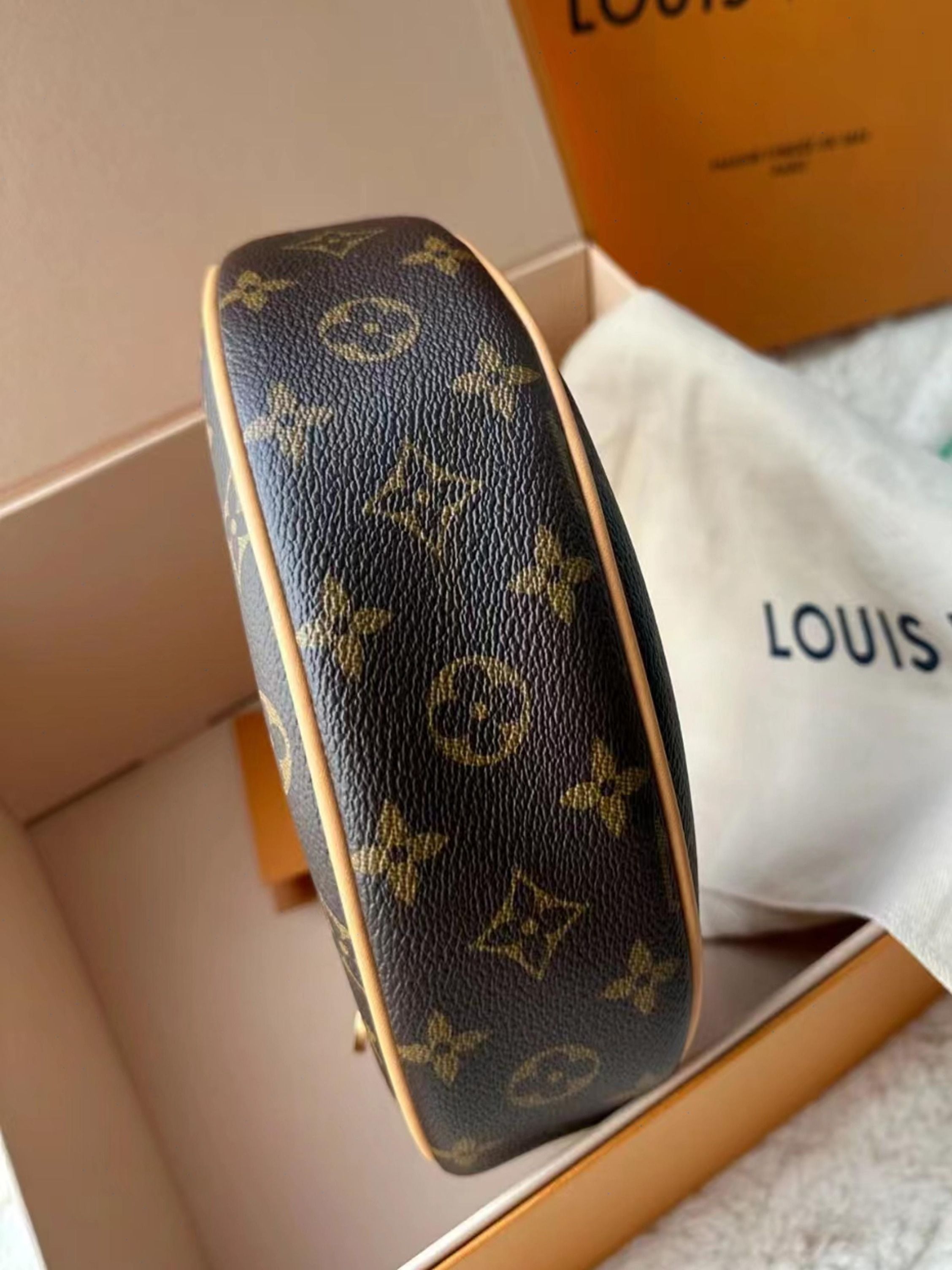 Lv apple bag 2025