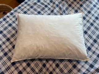 Two feather pillows