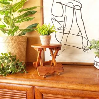 Vintage mini solid wood folding plant stand