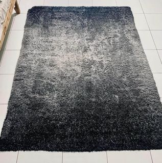 Carpet for sale (Preloved)