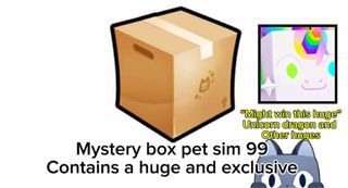 Pet sim 99 “Mystery Box”