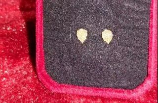 Real Diamond Earrings Gold. You'll lv it!