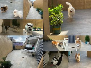 （分類：）位於 。 由 fpppg 提交（商品編號 1309296353，圖片 1）。簡介： 。
