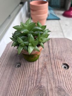 （分類：）位於 。 由 miruni 提交（商品編號 1309239307，圖片 1）。簡介： 。