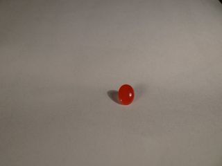 由 a093957257228494 (刊登 ID 1309235157，圖片 1) 提交，位於 的 (類別：)，說明：。