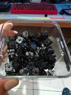 (Category: ) located in . Submitted by kliffdeuna (Listing ID 1309321790, Image 1). Description: .