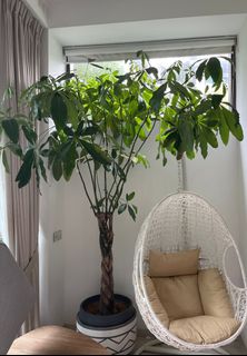 (Category: ) located in . Submitted by katiadrd (Listing ID 1309214489, Image 1). Description: .