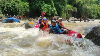 (Kategori: ) berada di . Dikirim oleh ediest (ID iklan 1309310265, Gambar 1). Deskripsi: .