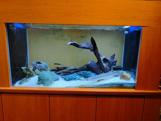 (Category: ) located in . Submitted by jacktanwc (Listing ID 1309325175, Image 1). Description: .