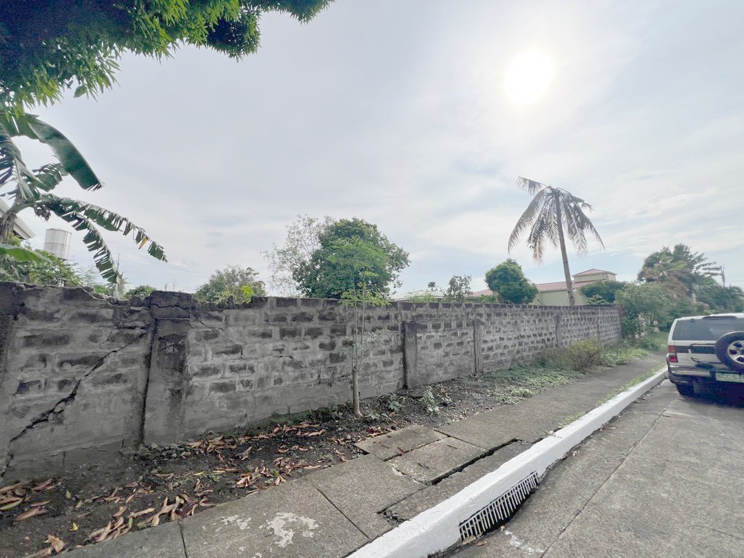 (Category: ) located in . Submitted by brokerhanstaneo_09178038728 (Listing ID 1309265996, Image 1). Description: .