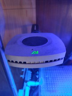 (Category: ) located in . Submitted by anm.courier (Listing ID 1309367203, Image 1). Description: .