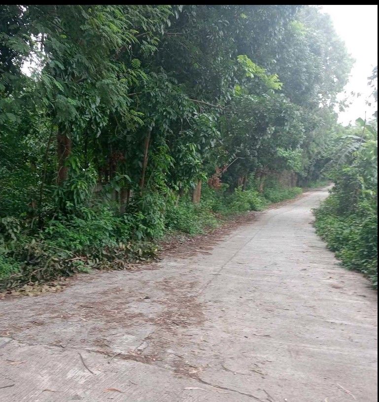 Bataan Hermosa Farm Land (Category: Lot) located in Navotas City. Submitted by a2crealty (Listing ID 1309432606, Image 3). Description: 7.7 HEC Hermosa Bataan Property Can Be Reach thru Cemented Road from Roman Expressnhiway. Slightly Rolling Terrain, Portion of which is fenced with Concrete Hollow Block. Price at P600 /sqm.