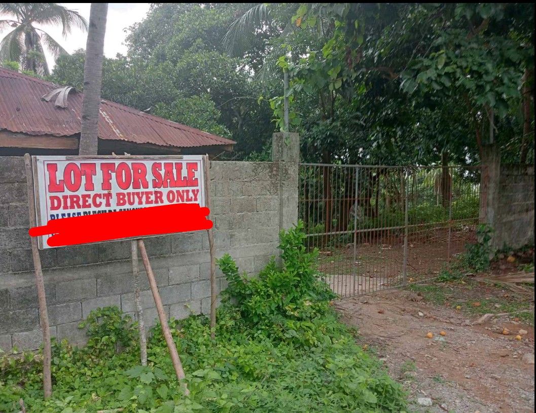 Bataan Hermosa Farm Land (Category: Lot) located in Navotas City. Submitted by a2crealty (Listing ID 1309432606, Image 1). Description: 7.7 HEC Hermosa Bataan Property Can Be Reach thru Cemented Road from Roman Expressnhiway. Slightly Rolling Terrain, Portion of which is fenced with Concrete Hollow Block. Price at P600 /sqm.