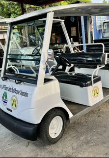 Electric golf carts