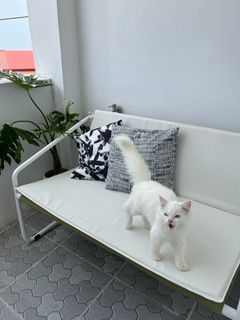IKEA Ingmarso 2-seat Outdoor Sofa