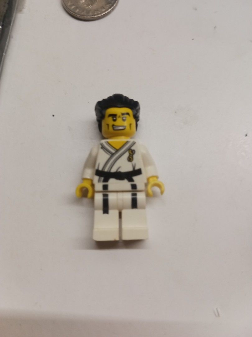 Lego karate master online
