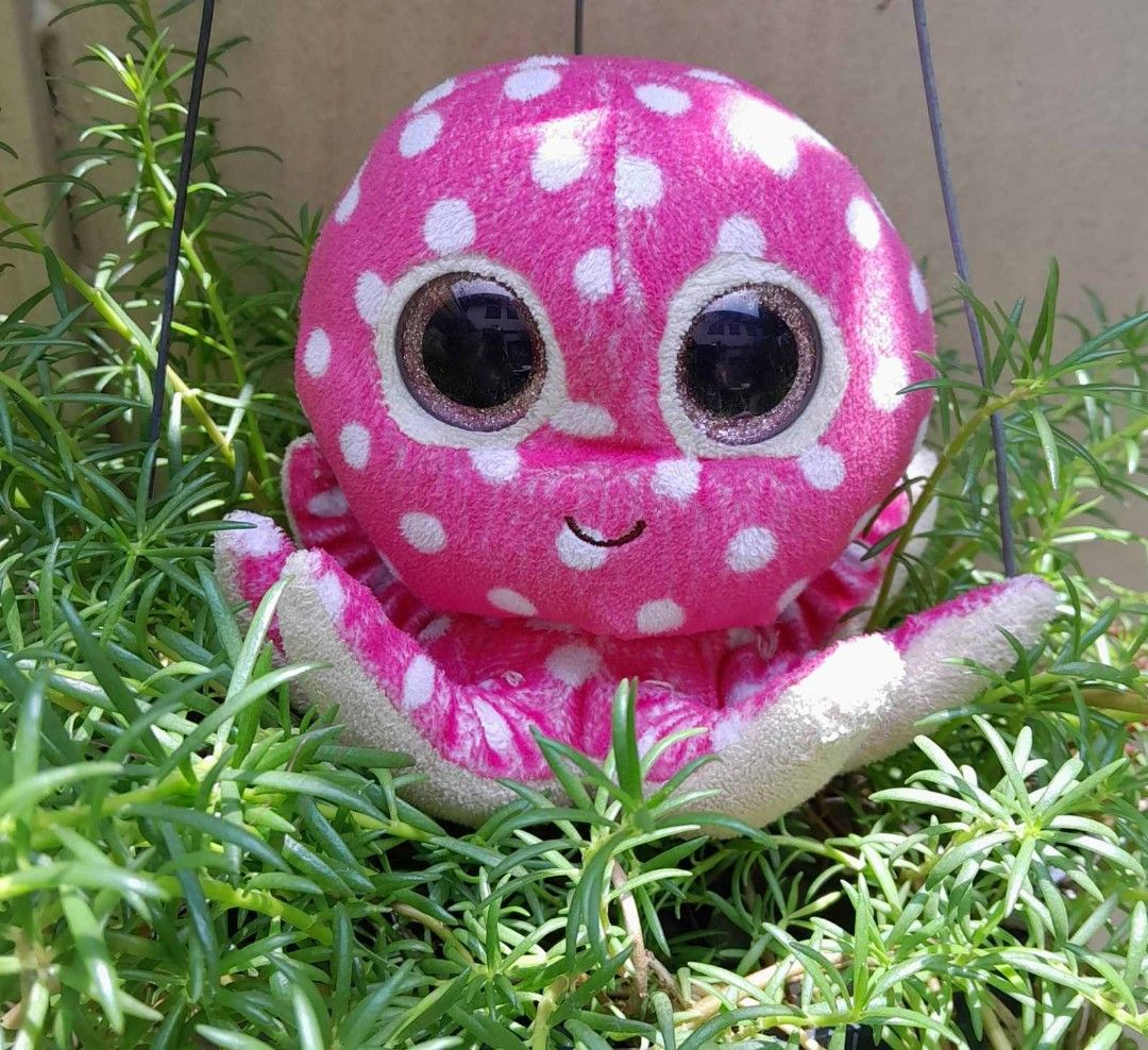 TY Beanie Boo Ollie Octopus Plush (Category: Looking For) located in Manila. Submitted by ardenboutique (Listing ID 1307123775, Image 1). Description: BEST BUY for only P80 from our Toy Collections. Slighty used and in a very good condition..