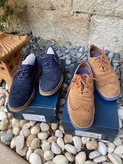 Cole Hann Zerogrand WNGCOX CLII Shoes For Men