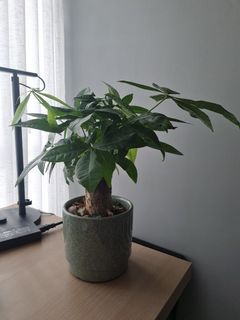 （分類：）位於 。 由 julia8435 提交（商品編號 1309636807，圖片 1）。簡介： 。