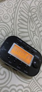 Korg Pandora Mini