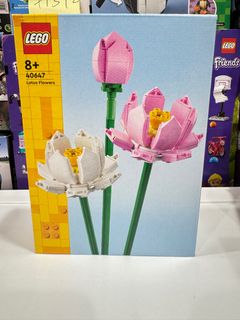 LEGO Collection item 3