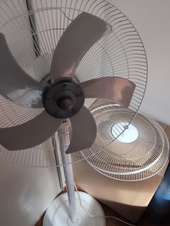 (Category: ) located in . Submitted by apurva33 (Listing ID 1309552809, Image 1). Description: .