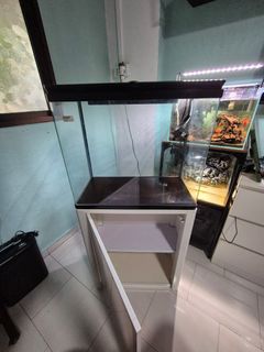 (Category: ) located in . Submitted by _abang_bob (Listing ID 1309549330, Image 1). Description: .