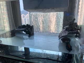 （分類：）位於 。 由 logwyneth 提交（商品編號 1306526076，圖片 1）。簡介： 。