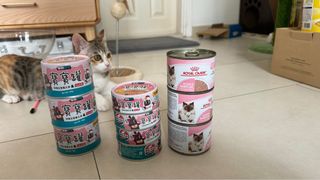 （分類：）位於 。 由 holly.fa 提交（商品編號 1306591553，圖片 1）。簡介： 。